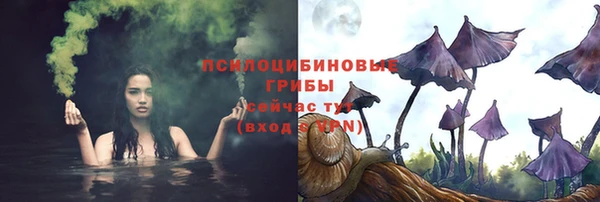 тгк Арсеньев
