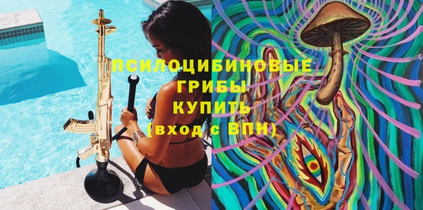 шишки Алексеевка